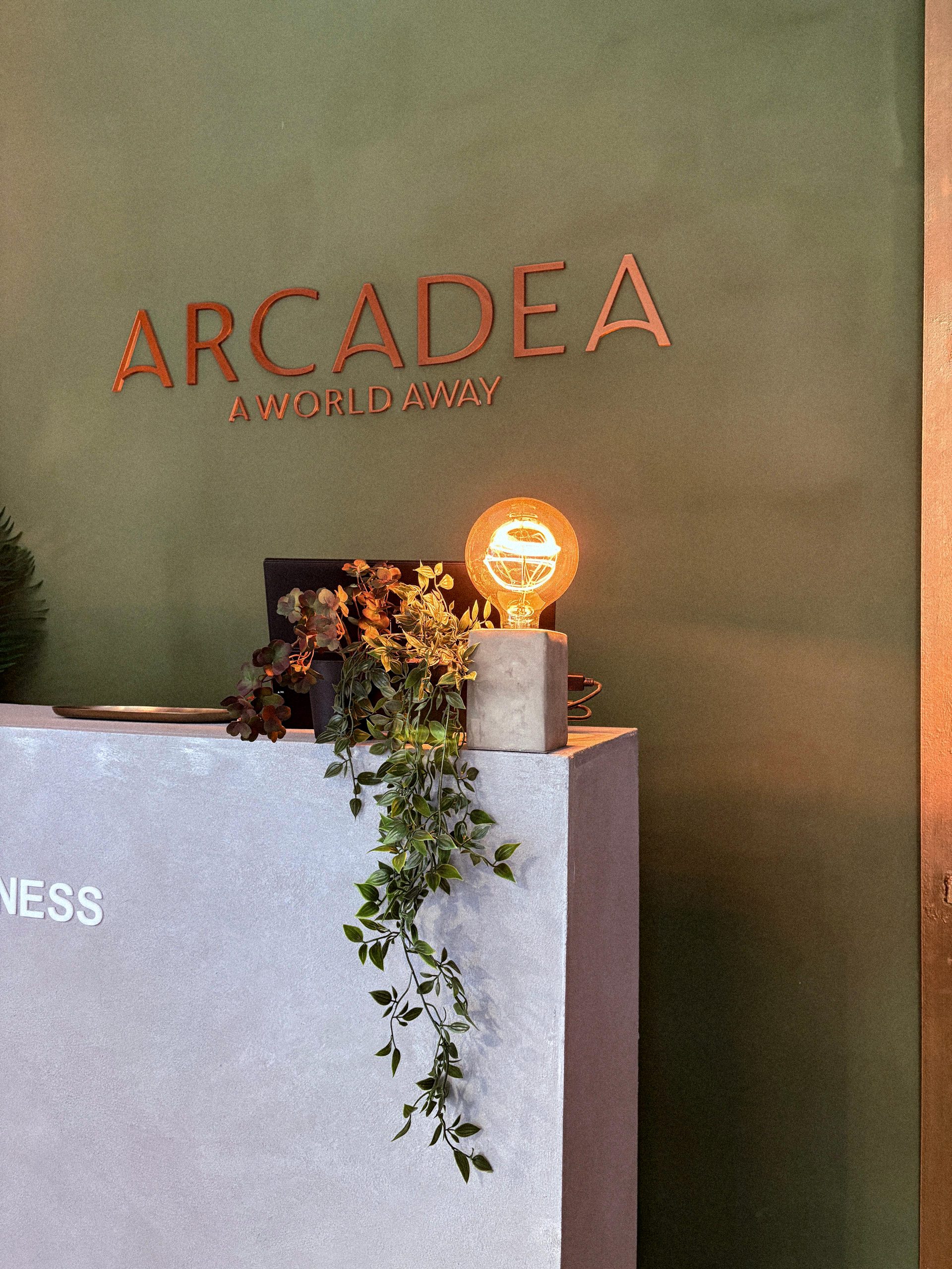 Centro Arcadea